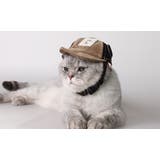 帽子 キャップ ペット用 | PlusNao | 詳細画像5 