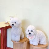 ペット用スタイ よだれかけ ビブ | PlusNao | 詳細画像4 