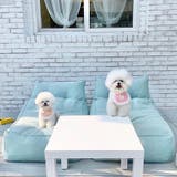 ペット用スタイ よだれかけ ビブ | PlusNao | 詳細画像5 