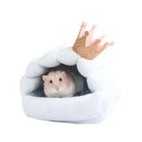 小動物用ハウス ペットベッド クッション | PlusNao | 詳細画像13