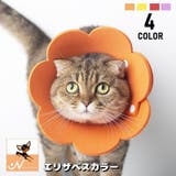 エリザベスカラー ソフト 猫用 | PlusNao | 詳細画像1 