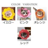 エリザベスカラー ソフト 猫用 | PlusNao | 詳細画像11 