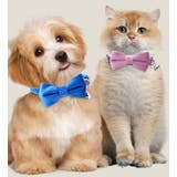 猫用首輪 首輪 ネコ用 | PlusNao | 詳細画像2