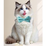 猫用首輪 首輪 ネコ用 | PlusNao | 詳細画像3