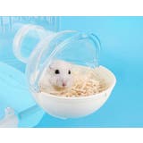 ハムスター 砂風呂 砂浴び容器 | PlusNao | 詳細画像2 