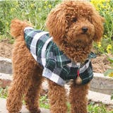 ペット用シャツ ペット用トップス 小型犬 | PlusNao | 詳細画像2