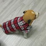ペット用シャツ ペット用トップス 小型犬 | PlusNao | 詳細画像3