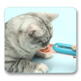 ペット用スプーン 猫用 ネコ用 | PlusNao | 詳細画像3