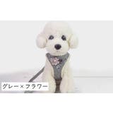 ハーネス リードつき セット | PlusNao | 詳細画像12