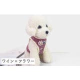 ハーネス リードつき セット | PlusNao | 詳細画像13