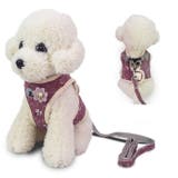 ハーネス リードつき セット | PlusNao | 詳細画像2