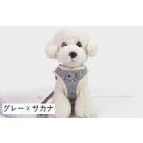 ハーネス リードつき セット | PlusNao | 詳細画像9