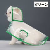 ペット用レインコート レインコート ペットグッズ | PlusNao | 詳細画像8 