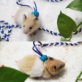 ハーネスリード 小動物用 リード一体型 | PlusNao | 詳細画像3