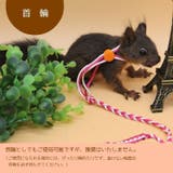 ハーネスリード 小動物用 リード一体型 | PlusNao | 詳細画像6