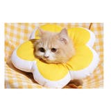エリザベスカラー ペット用品 犬用品 | PlusNao | 詳細画像3 