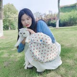 ペット用スリング 抱っこひも 抱っこバッグ | PlusNao | 詳細画像6 