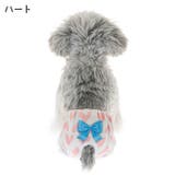犬用サニタリーパンツ マナーパンツ 生理パンツ | PlusNao | 詳細画像10