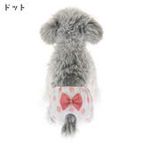 犬用サニタリーパンツ マナーパンツ 生理パンツ | PlusNao | 詳細画像12