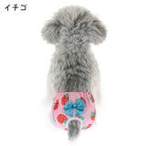 犬用サニタリーパンツ マナーパンツ 生理パンツ | PlusNao | 詳細画像13
