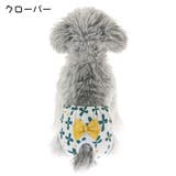 犬用サニタリーパンツ マナーパンツ 生理パンツ | PlusNao | 詳細画像15
