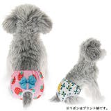 犬用サニタリーパンツ マナーパンツ 生理パンツ | PlusNao | 詳細画像2