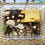 水槽装飾 浮島 ペット用品 | PlusNao | 詳細画像3