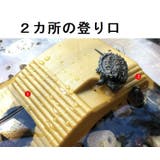 水槽装飾 浮島 ペット用品 | PlusNao | 詳細画像6