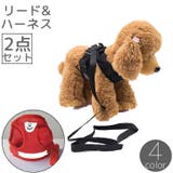 ハーネス リード 2点セット | PlusNao | 詳細画像1 