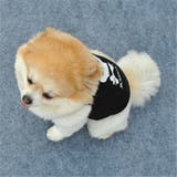 ペット用 犬 ドッグウェア | PlusNao | 詳細画像3 