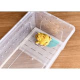 飼育ケース プラスチックケース プラケース | PlusNao | 詳細画像6