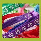 首輪 ペット用 単品 | PlusNao | 詳細画像11