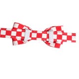 首輪 カラー ペット用品 | PlusNao | 詳細画像9 