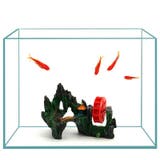 水槽用オブジェ 庭園風オブジェ 隠れ家 | PlusNao | 詳細画像2 