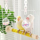 鳥用おもちゃ 鳥用玩具 ペット用おもちゃ | PlusNao | 詳細画像3