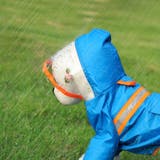 ペット用レインコート ドッグウェア 犬用 | PlusNao | 詳細画像3