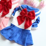 ドッグウエア ペットウェア キャットウェア | PlusNao | 詳細画像16 