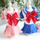 ドッグウエア ペットウェア キャットウェア | PlusNao | 詳細画像17 