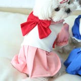 ドッグウエア ペットウェア キャットウェア | PlusNao | 詳細画像3 