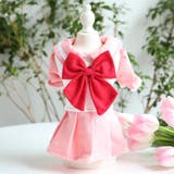 ドッグウエア ペットウェア キャットウェア | PlusNao | 詳細画像8 