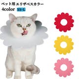 エリザベスカラー ペット用 猫 | PlusNao | 詳細画像1