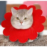 エリザベスカラー ペット用 猫 | PlusNao | 詳細画像2