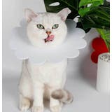エリザベスカラー ペット用 猫 | PlusNao | 詳細画像3