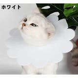 エリザベスカラー ペット用 猫 | PlusNao | 詳細画像4