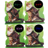 猫用 ハーネス リード | PlusNao | 詳細画像11