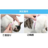 猫用 ハーネス リード | PlusNao | 詳細画像12