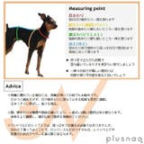 犬用サニタリーパンツ サスペンダー付きサニタリーパンツ 生理用パンツ | PlusNao | 詳細画像13 