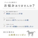お散歩ライト LEDライト ペット用品 | PlusNao | 詳細画像2 