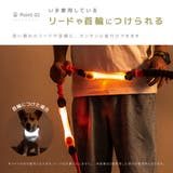 お散歩ライト LEDライト ペット用品 | PlusNao | 詳細画像6 