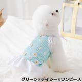 ドッグウェア 犬服 ワンピース | PlusNao | 詳細画像12